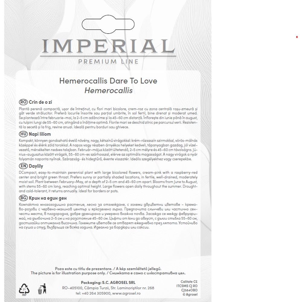 Crin Hemerocallis Dare To Love AGROSEL, 1 bulb