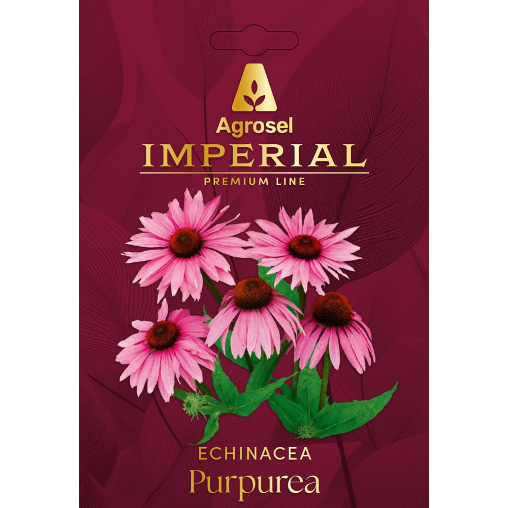 Echinacea Purpurea AGROSEL, 4 bulbi