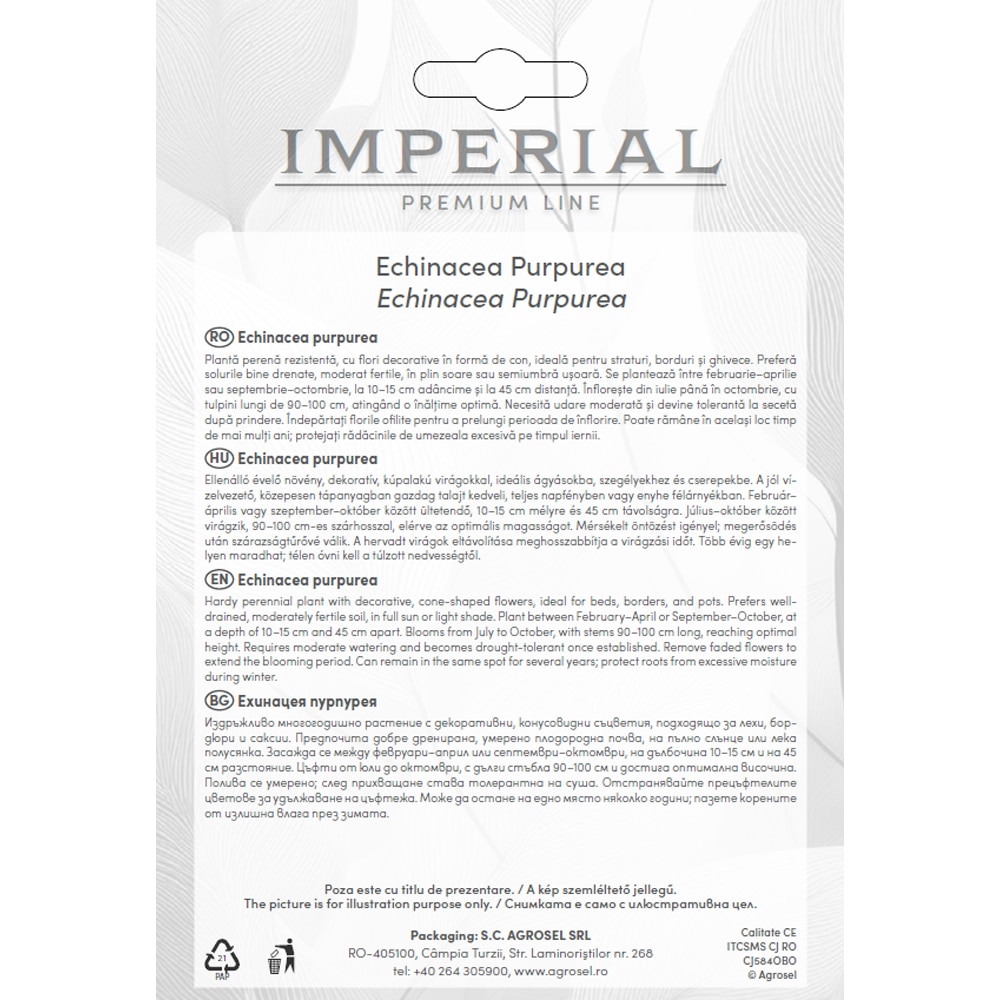 Echinacea Purpurea AGROSEL, 4 bulbi