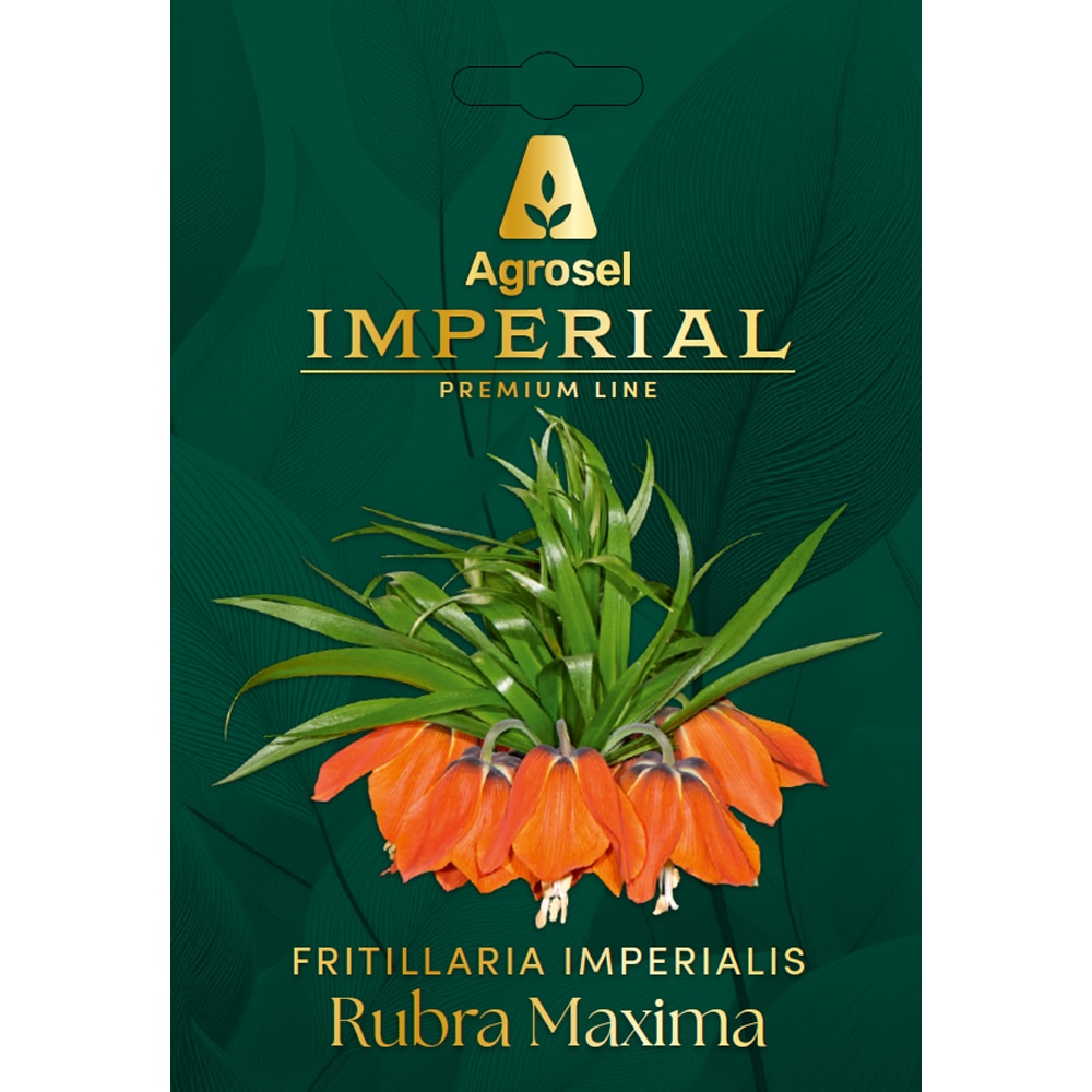 Bulb fritillaria Rubra Maxima IMPERIAL, 1 bucata