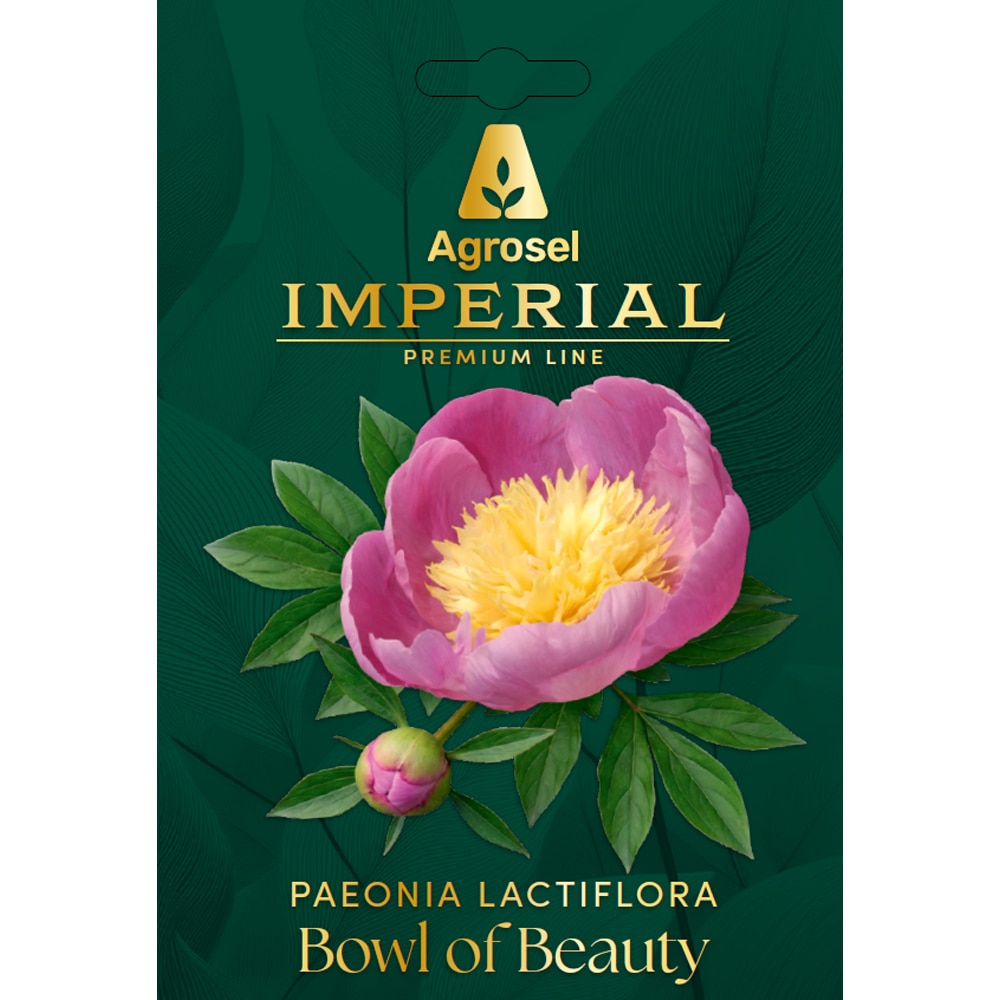 Bulb bujor Bowl of Beauty IMPERIAL, 1 bucata