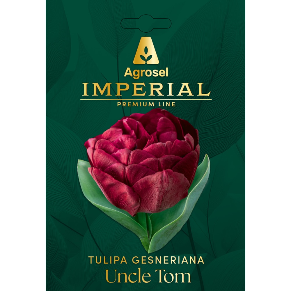 Bulbi lalea Uncle Tom IMPERIAL, 5 bucati