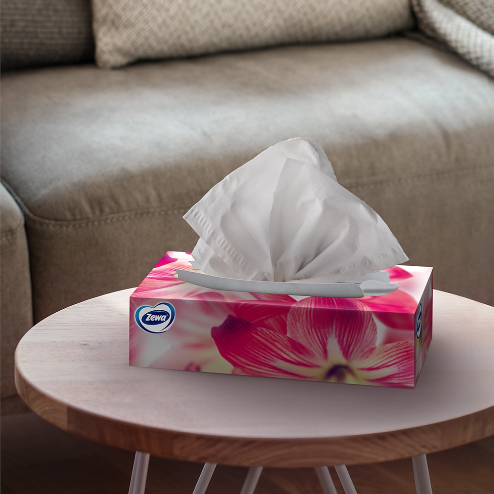 Servetele faciale ZEWA Deluxe Design, 3 straturi, 90 bucati, 5 cutii