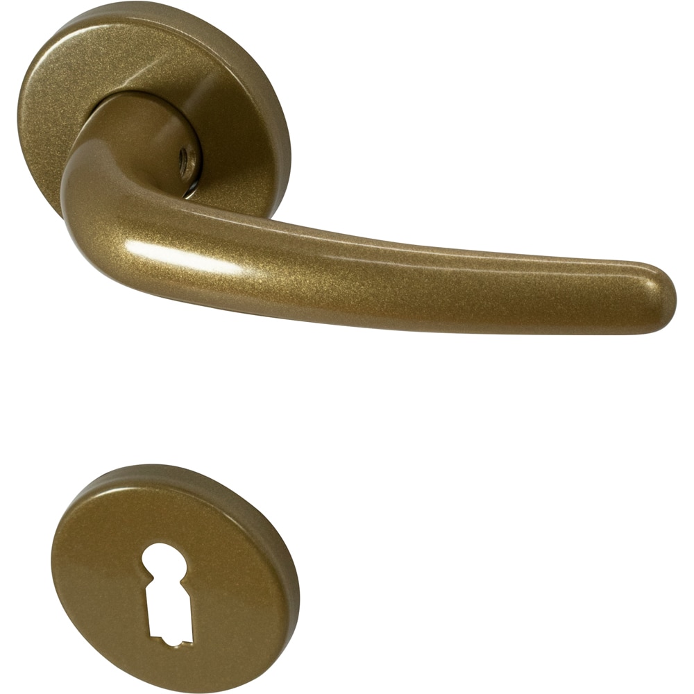 Maner cu rozeta D50, aluminiu, 110 mm, auriu