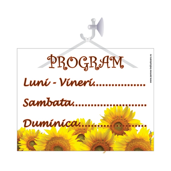 Indicator Program De Lucru  Creative Sign
