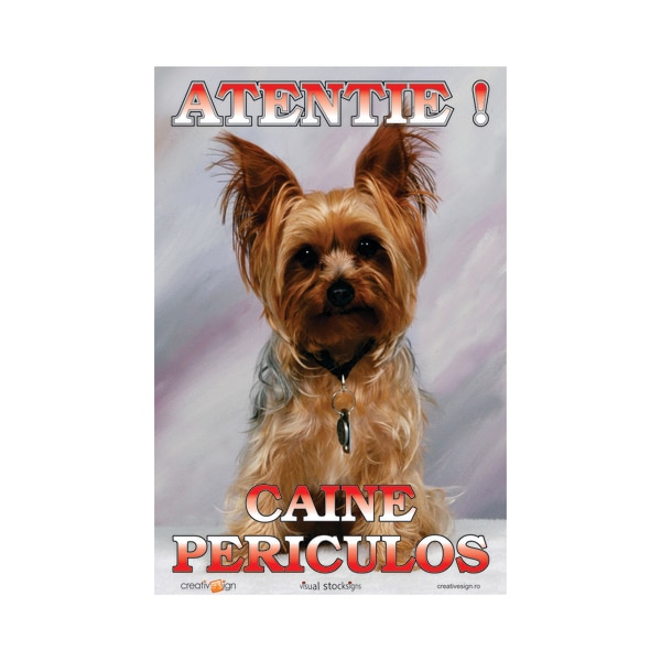 Indicator Atentie Caine Rau  Creative Sign