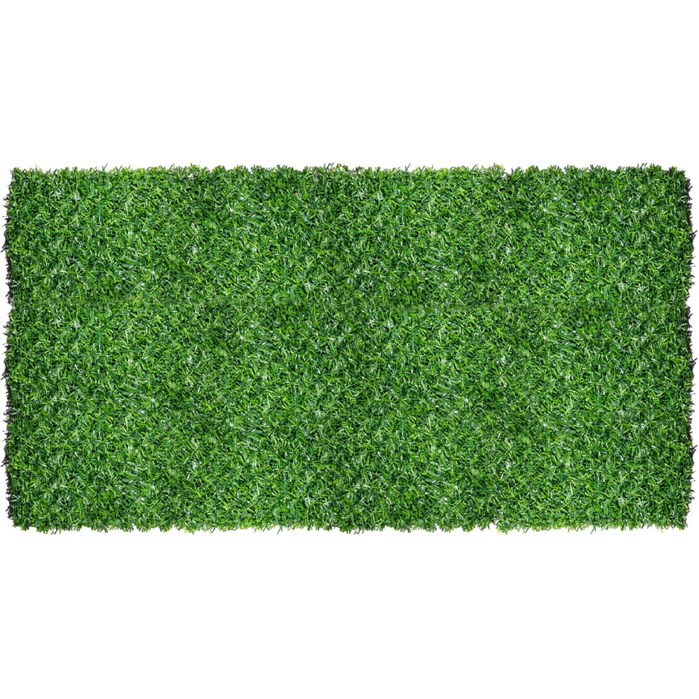 Imitatie gard viu, 1.7x5 m