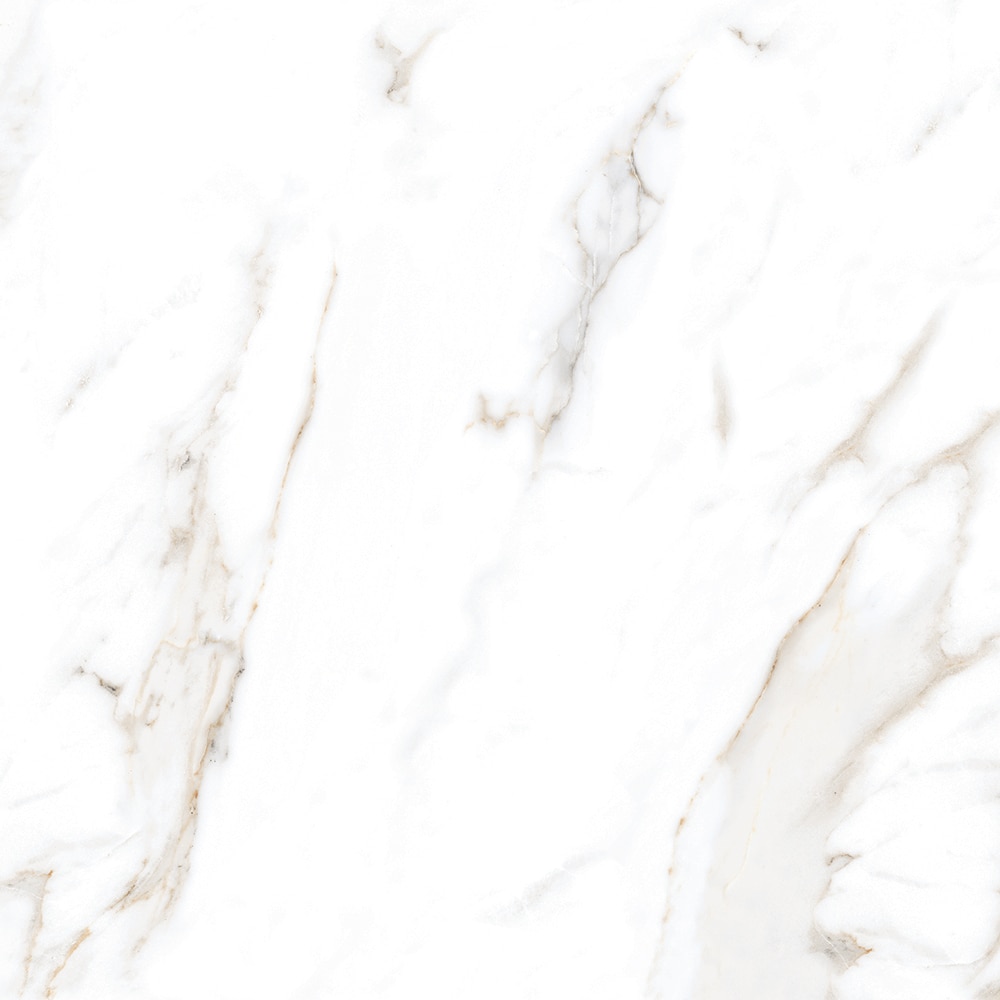 Gresie Interior/Exterior, Alb, Portelanata, 60 x 60 cm, suprafata 1,44 mp, Lavish Calcutta