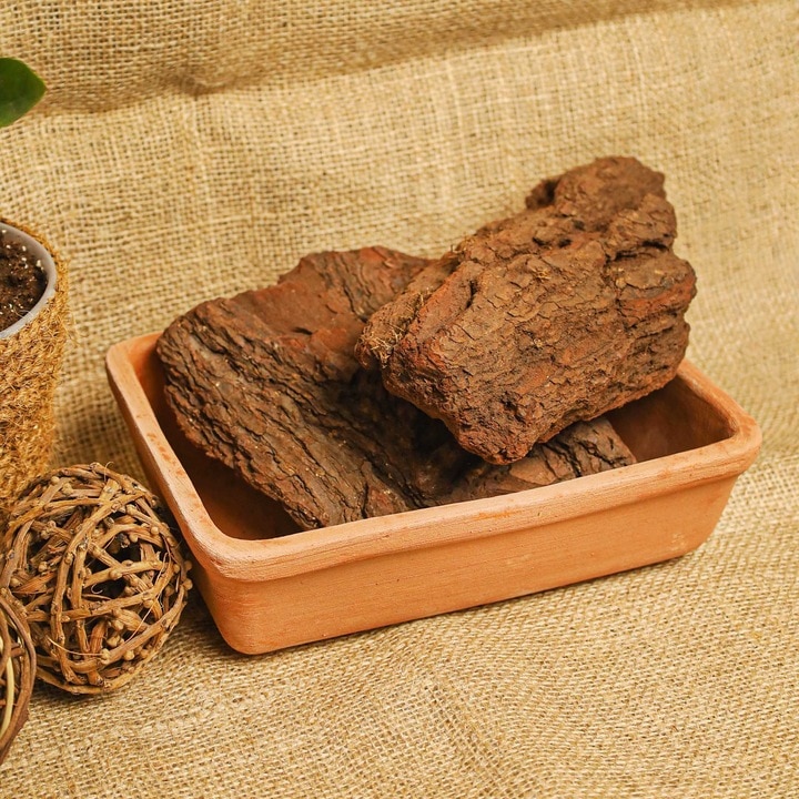 Jardiniera teracota, bonsai, 20 cm