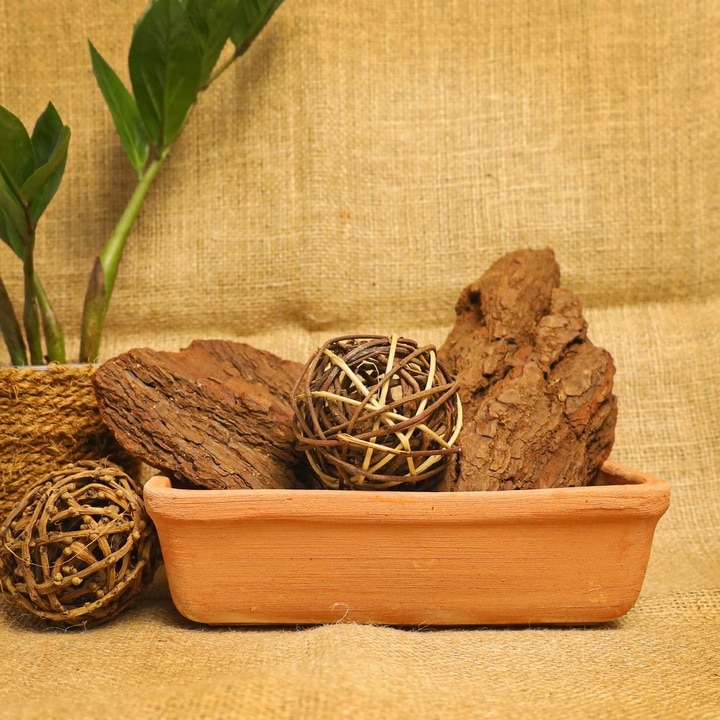 Jardiniera teracota, bonsai, 20 cm