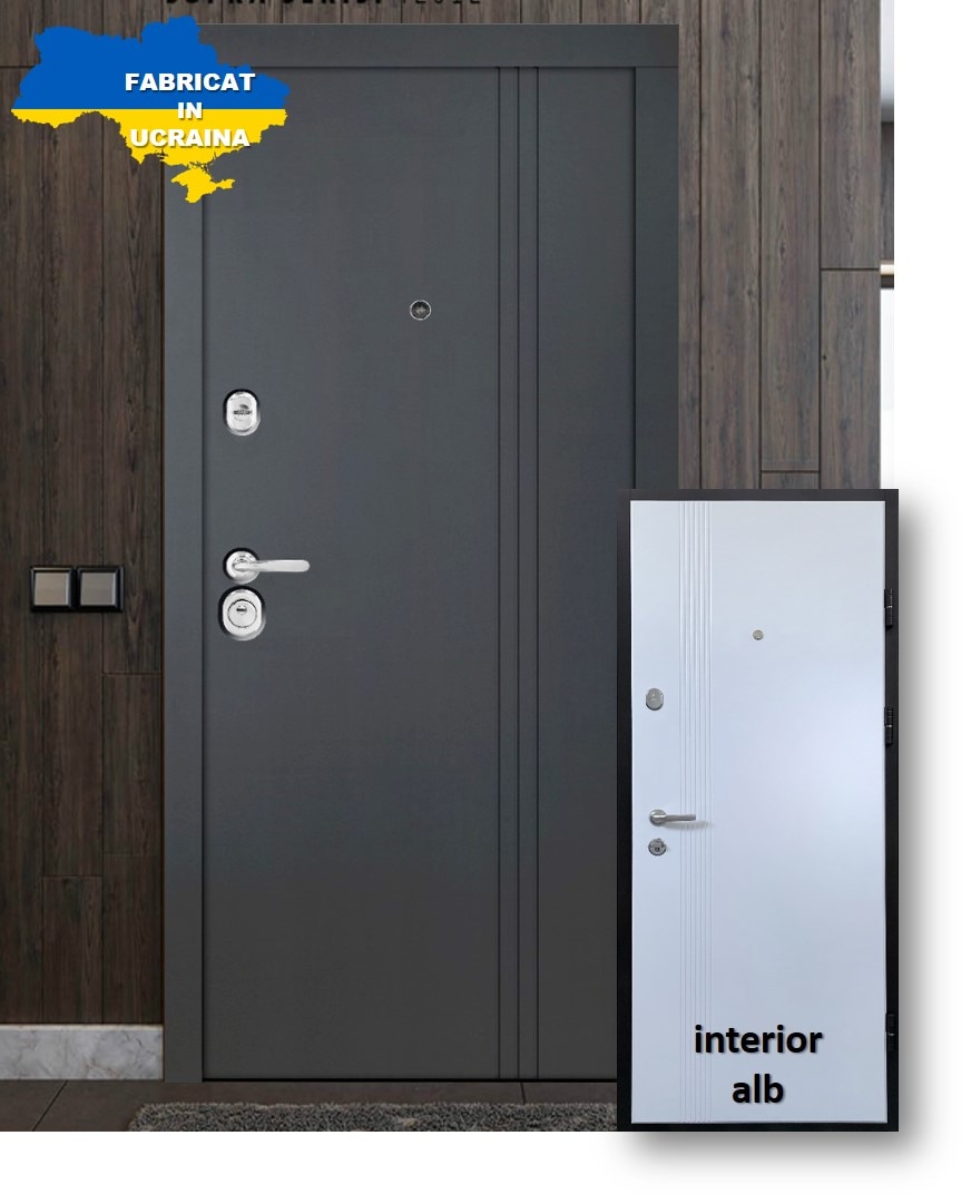 Usa de intrare pentru apartament, metalica, antracit,  dreapta, 202 x 89 cm • Bella Casa M 781