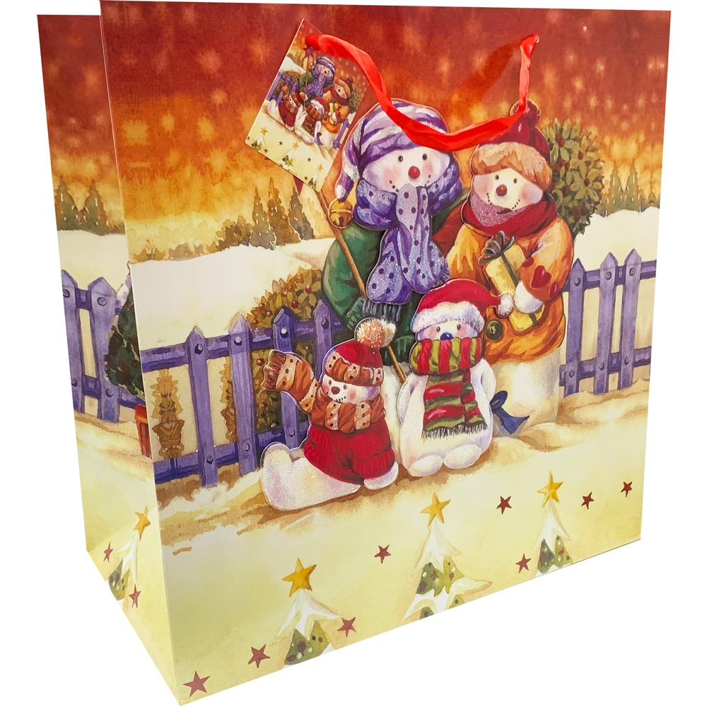 Punga SAVCOM AR3 Craciun 3D, 40 x 40 x 20 cm, diverse modele