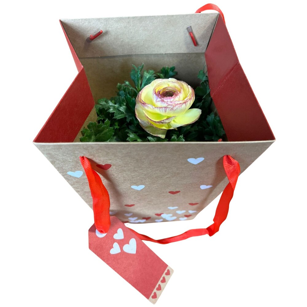 Ranunculus punga colectia Send Love, D 13cm