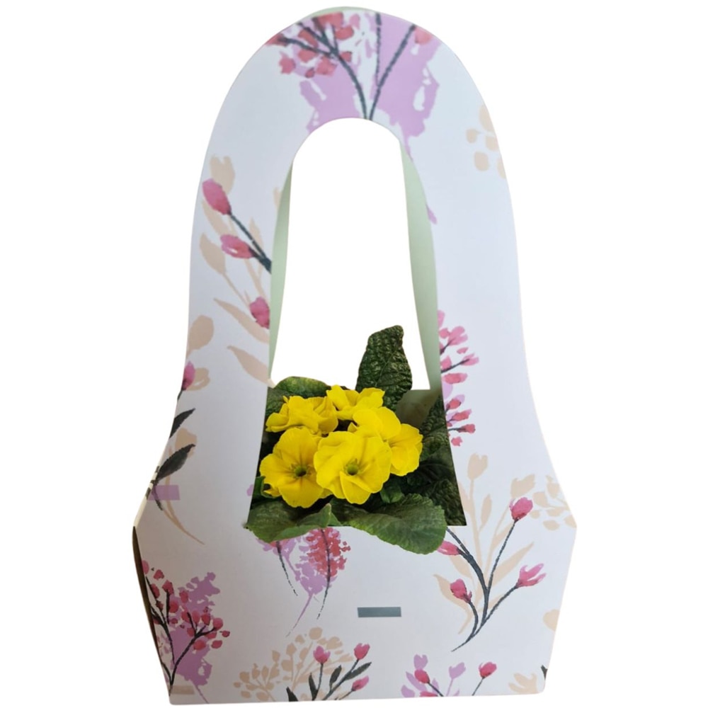 Primula punga colectia Nature Romance, D 11cm