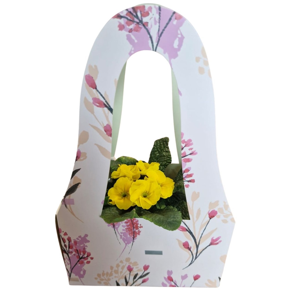 Primula punga colectia Nature Romance, D 11cm