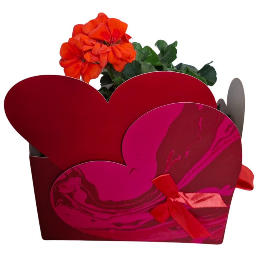 Muscate punga colectia Marbled Love, D 13cm