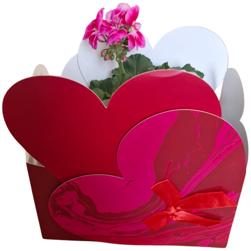 Muscate punga colectia Marbled Love, D 13cm