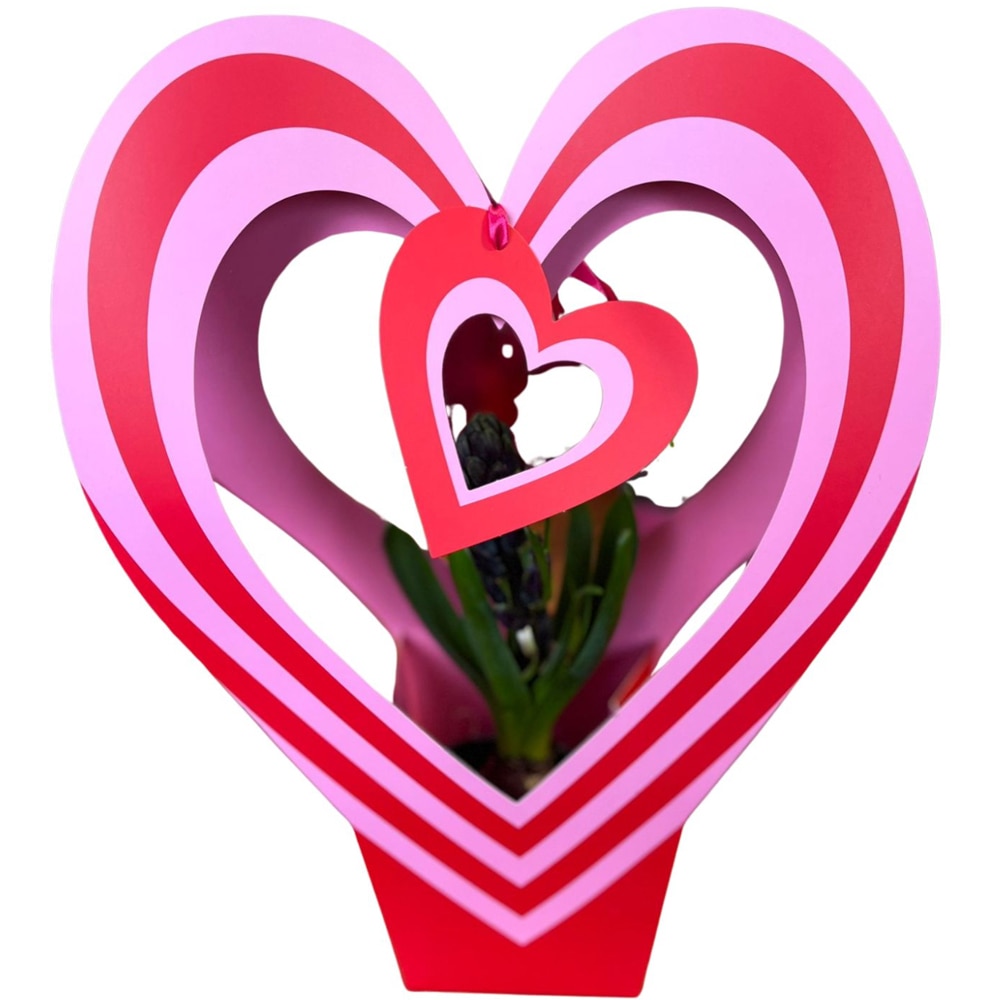 Hyacinthus D1CM punga colectia Bag Express Love, D 11cm