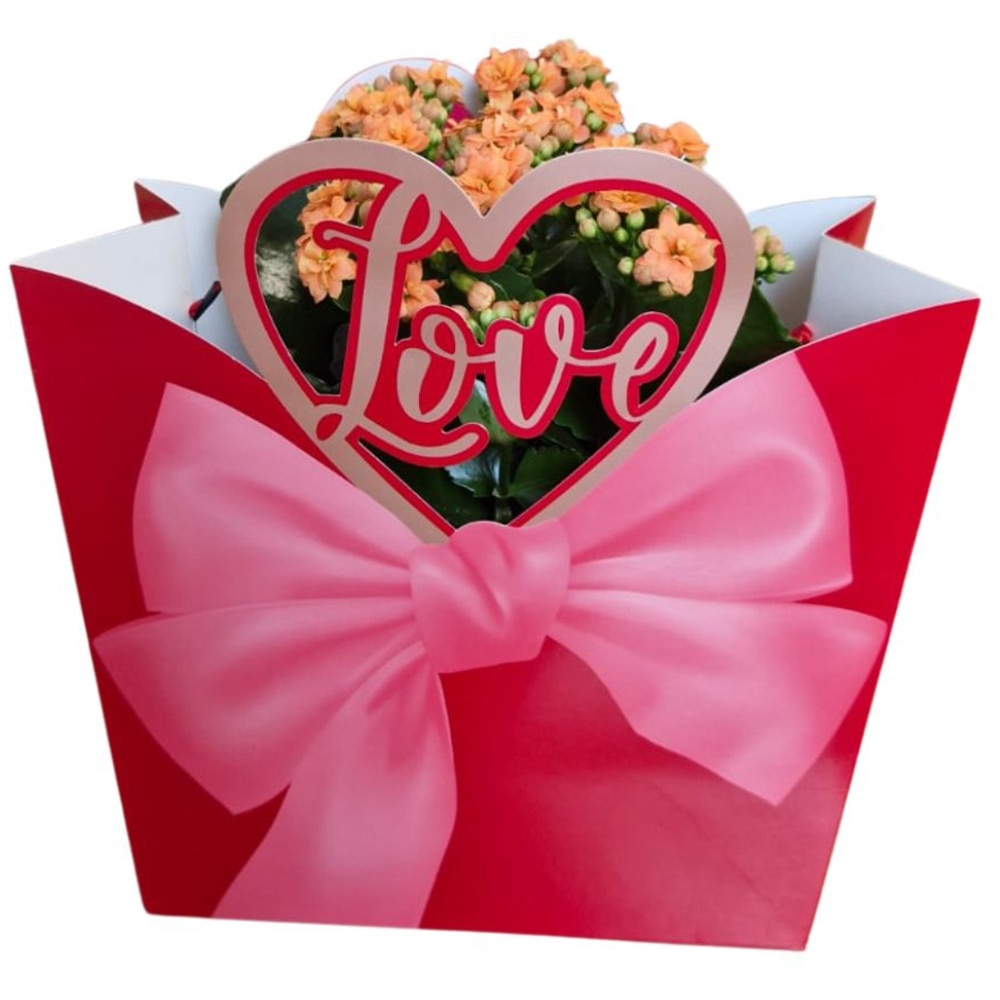 Kalanchoe punga colectia Luxury Love, D 13cm