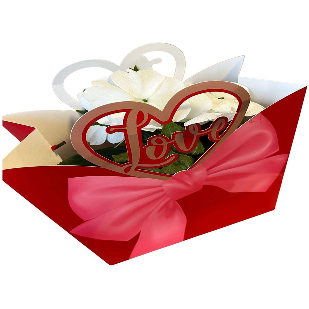 Impatiens punga colectia Luxury Love, D 11cm