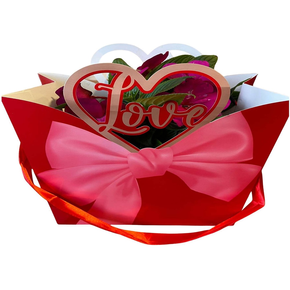 Impatiens punga colectia Luxury Love, D 11cm