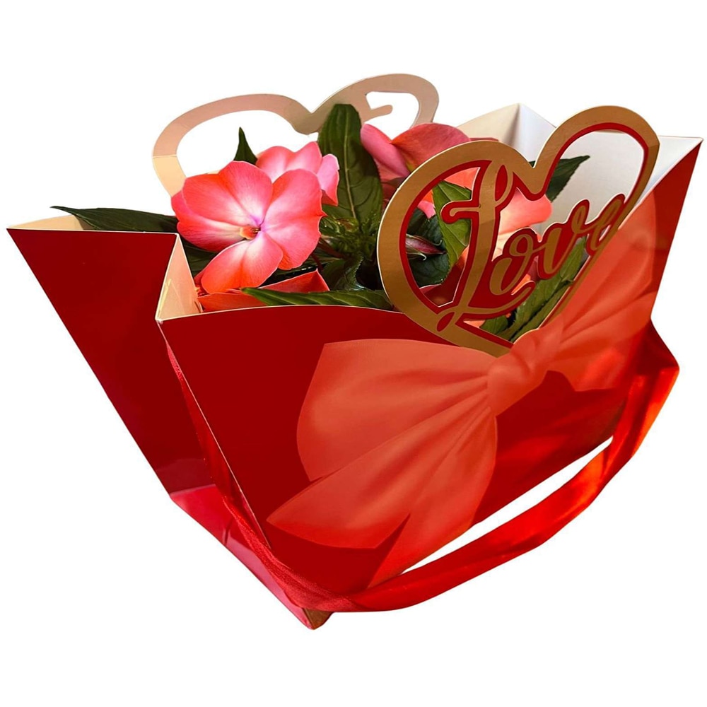 Impatiens punga colectia Luxury Love, D 11cm