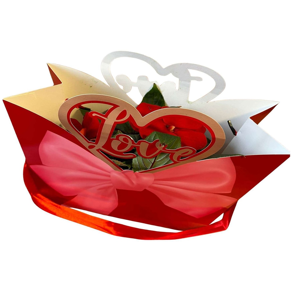 Impatiens punga colectia Luxury Love, D 11cm