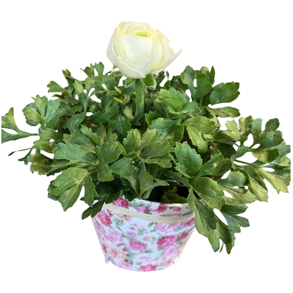 Ranunculus punga colectia Floral Romantic, D 11cm