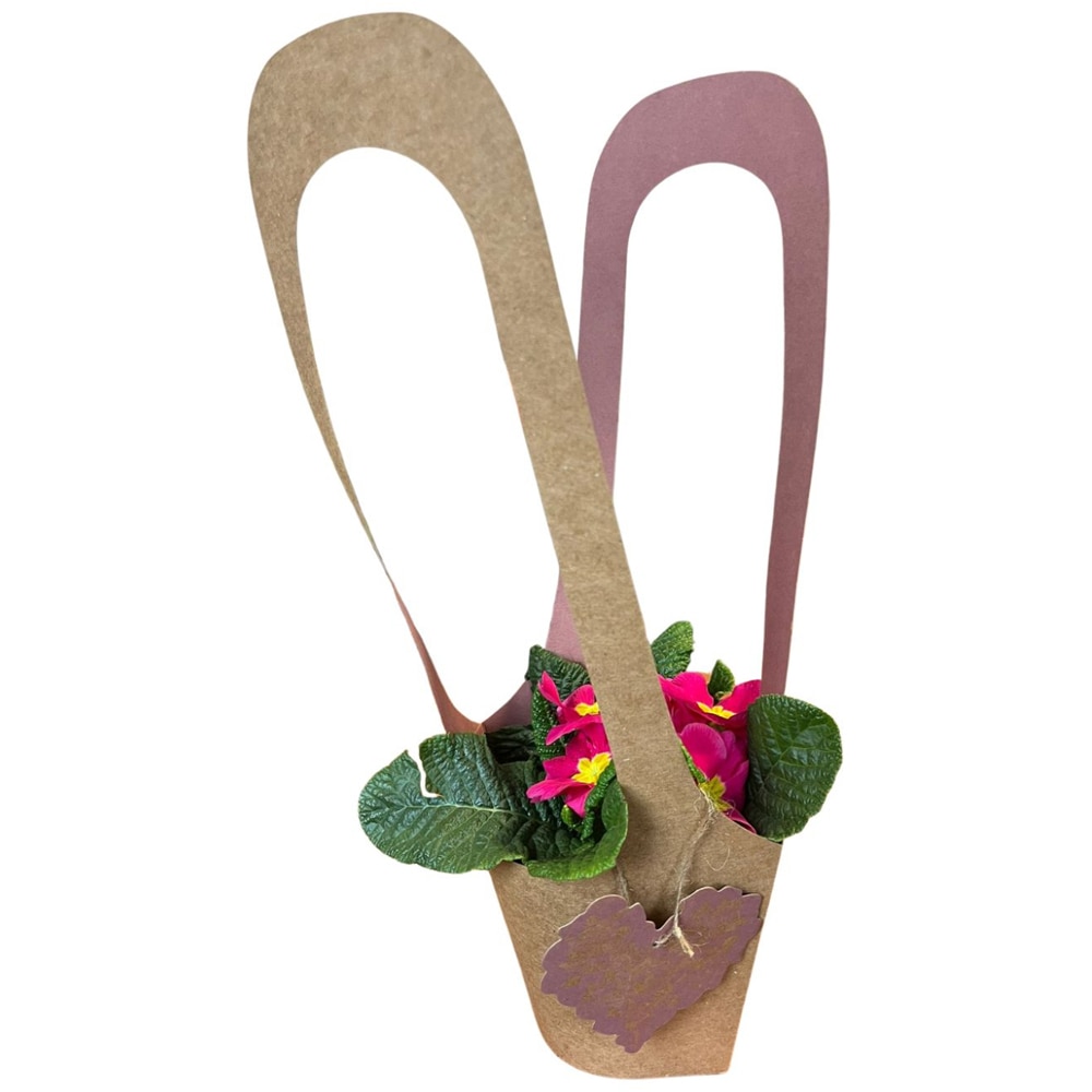 Primula punga colectia Love Rocks, D 11cm