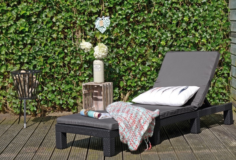 Sezlong cu perna, gri, plastic, 195 x 65 cm, 110 kg  Daytona