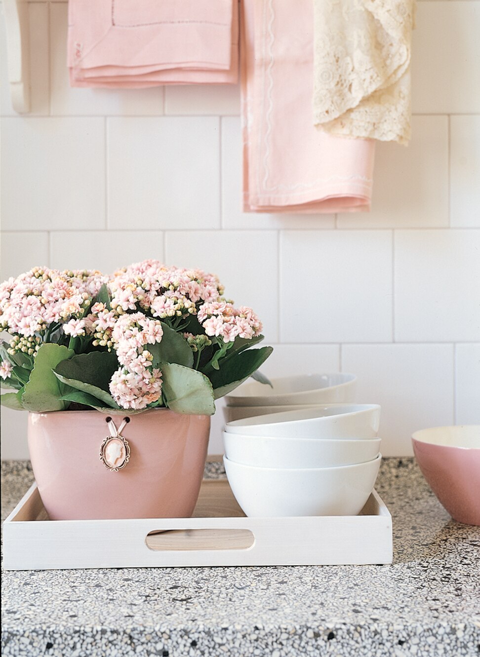 Ghiveci Calandiva mix, 10.5 cm