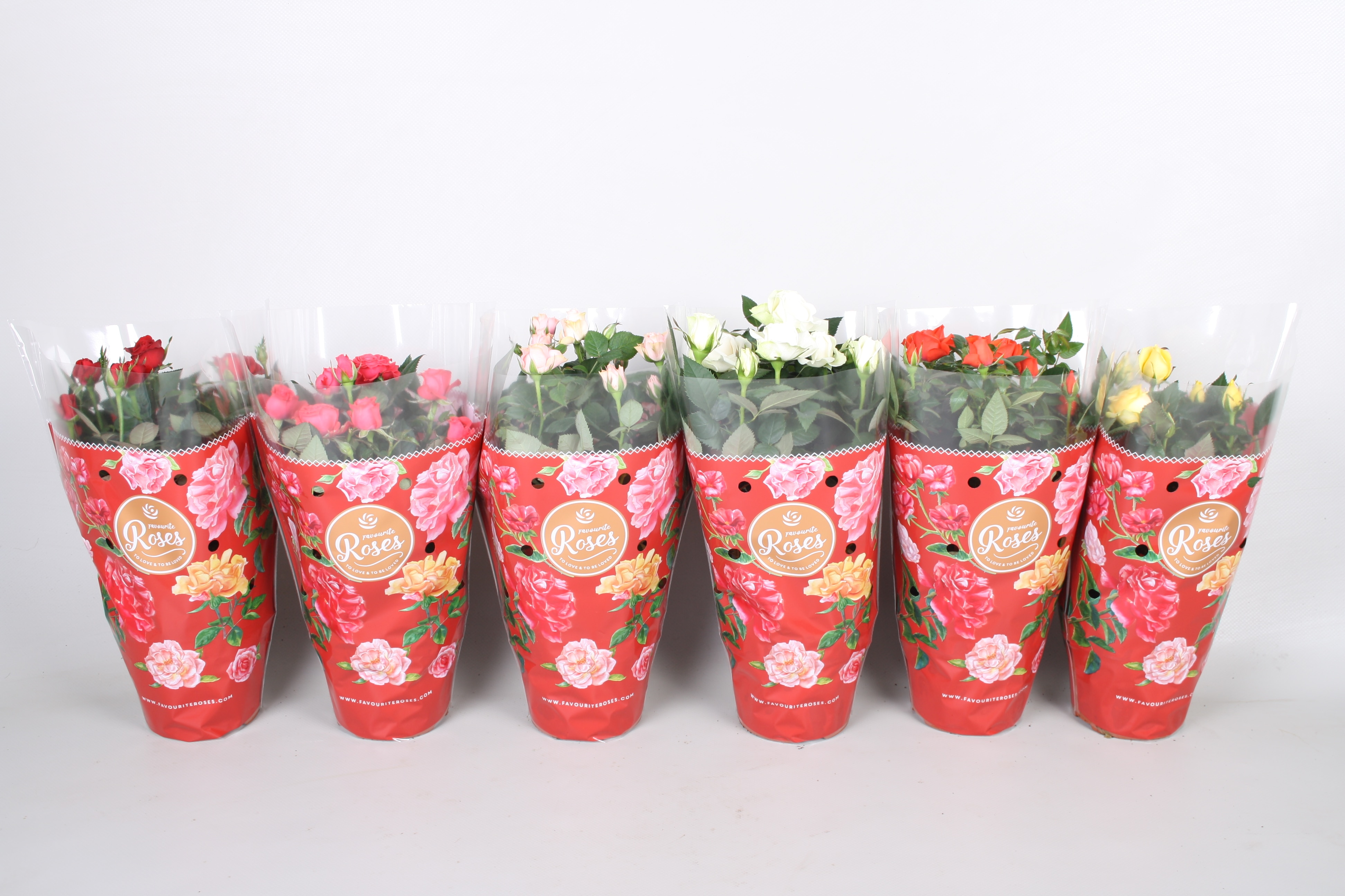 Mix trandafiri, 45 cm