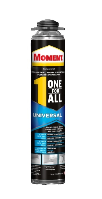 Adeziv spuma, 750 ml •  Moment One4All