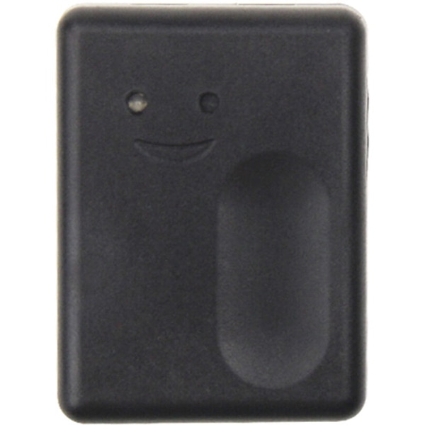 Releu smart PNI SmartHome RG120, Wi-Fi, deschidere usa garaj/poarta, monitorizare prin Tuya Smart App