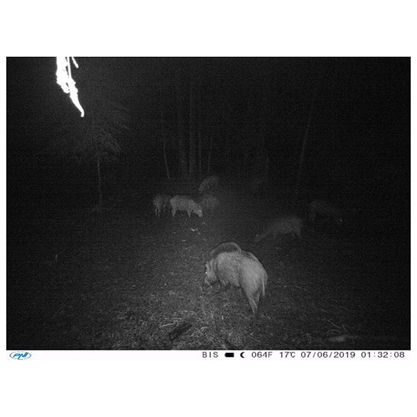 Camera vanatoare PNI Hunting 350C, Full HD 1080p, IR, Internet, Night Vision, multicolor