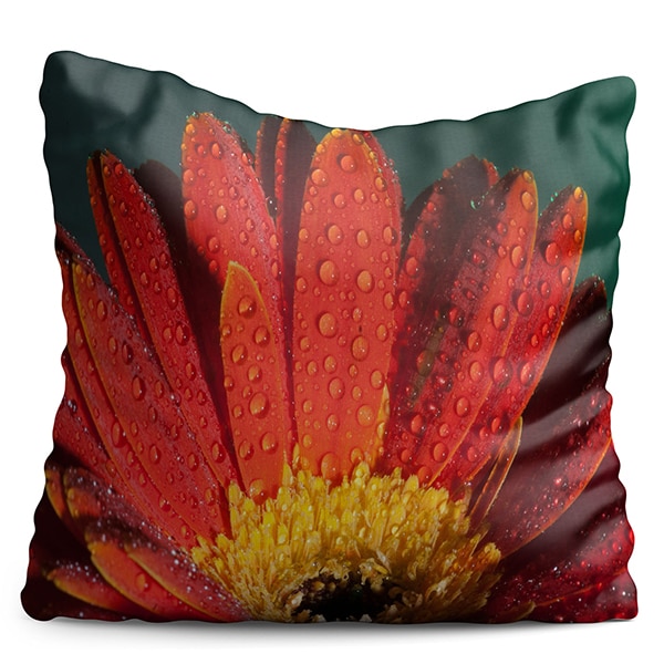 Perna decorativa Red Daisy, 40 x 40 cm, multicolor
