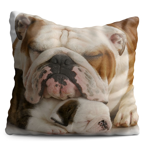 Perna decorativa Puppy, 40 x 40 cm, multicolor