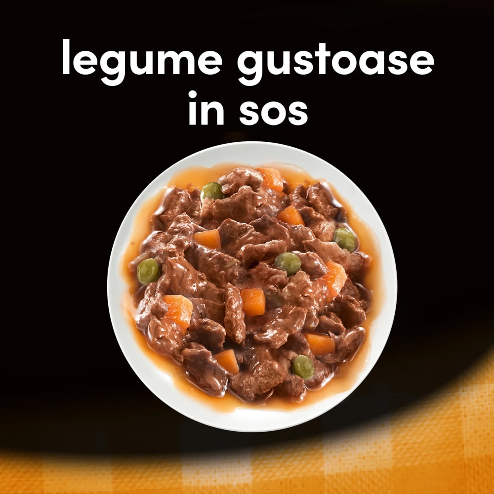 Hrana umeda pentru caini CESAR, Adult, Pui si legume in sos, 24 x 100 g