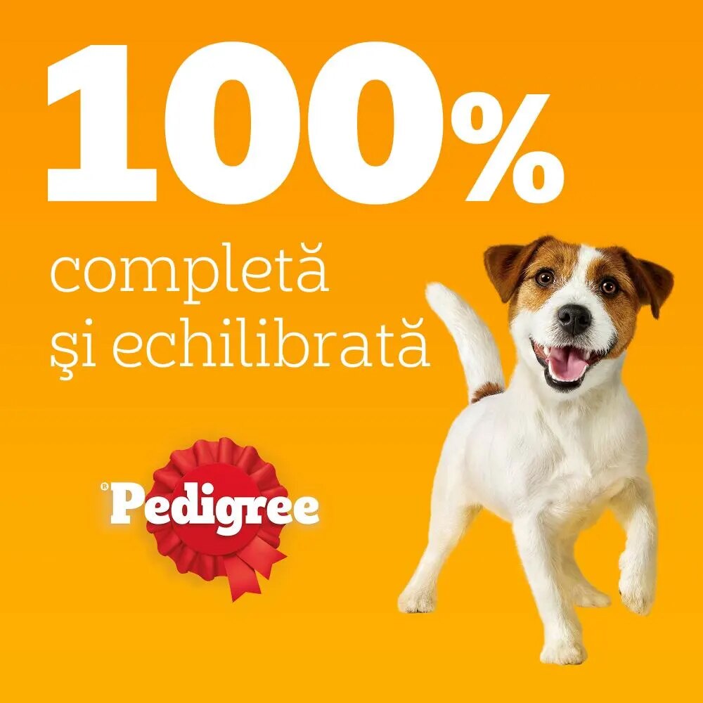 Hrana umeda pentru caini PEDIGREE, Adult, Mix in sos cu morcovi, 4 x 100 g