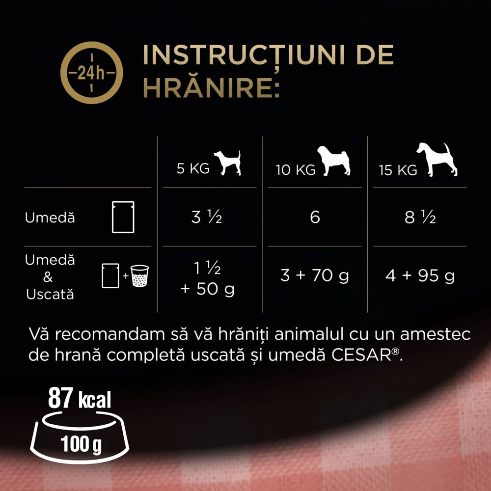 Hrana umeda pentru caini CESAR, Adult, Mix in sos, 13 x 4 x 100 g