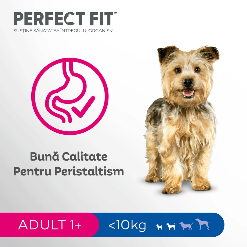 Hrana uscata pentru caini PERFECT FIT, Adult, Pui, 1.4 kg