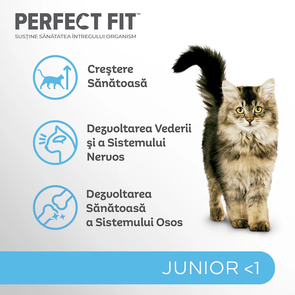 Hrana uscata pentru pisici PERFECT FIT, Junior, Pui, 750 g
