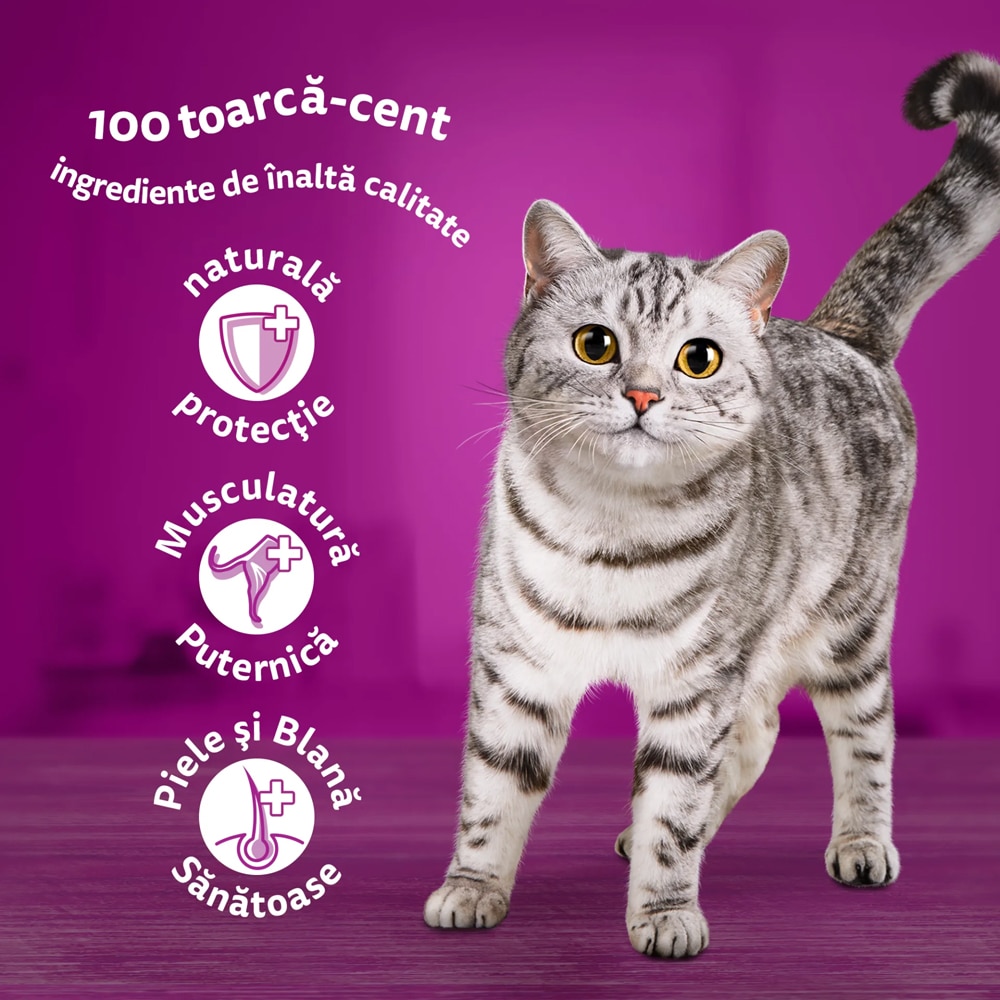 Hrana umeda pentru pisici WHISKAS, Adult, Somon in sos, 28 x 85 g