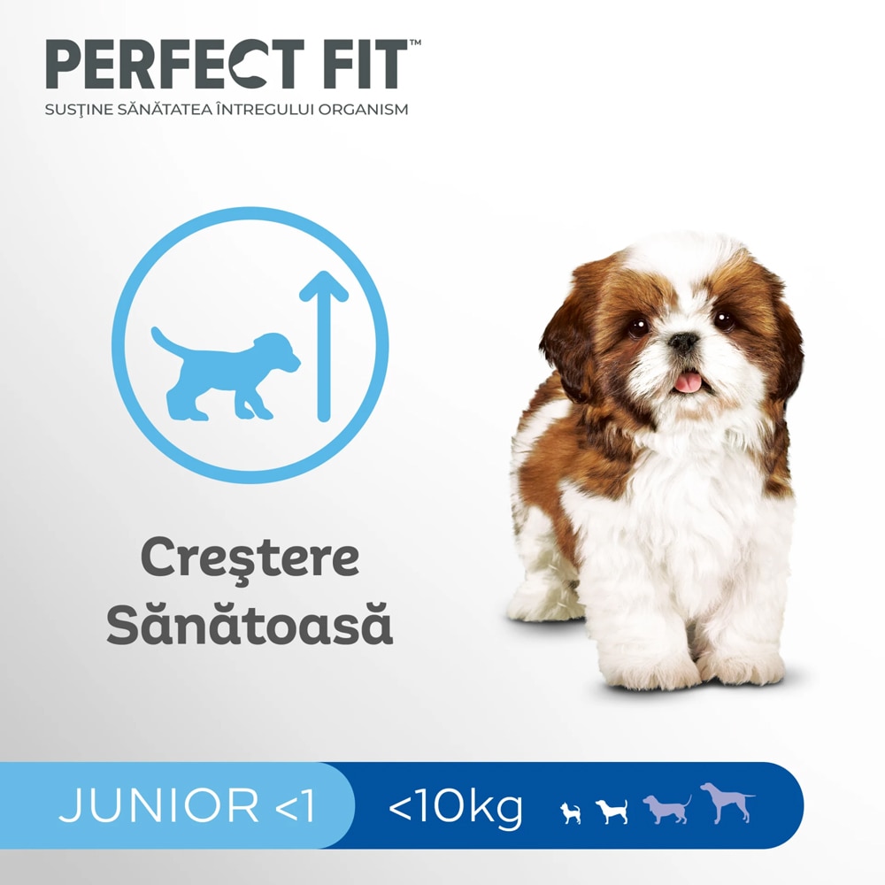 Hrana uscata pentru caini PERFECT FIT, Junior, Pui, 825 g