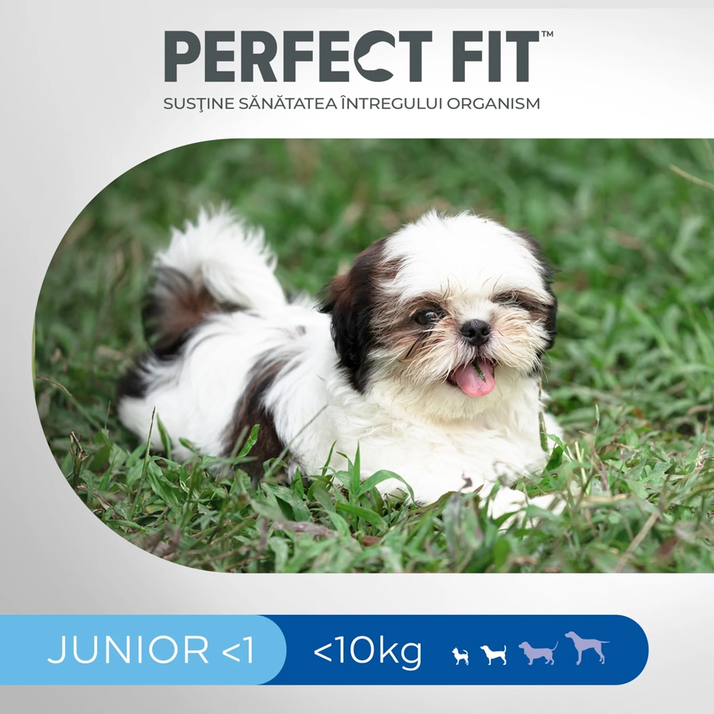 Hrana uscata pentru caini PERFECT FIT, Junior, Pui, 825 g