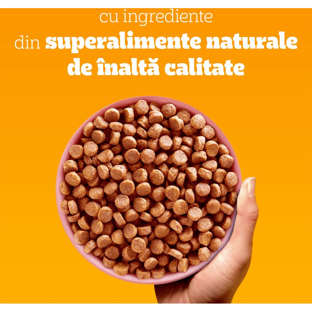 Hrana uscata pentru caini PEDIGREE, Junior, Pasare si Legume, 1.4 kg