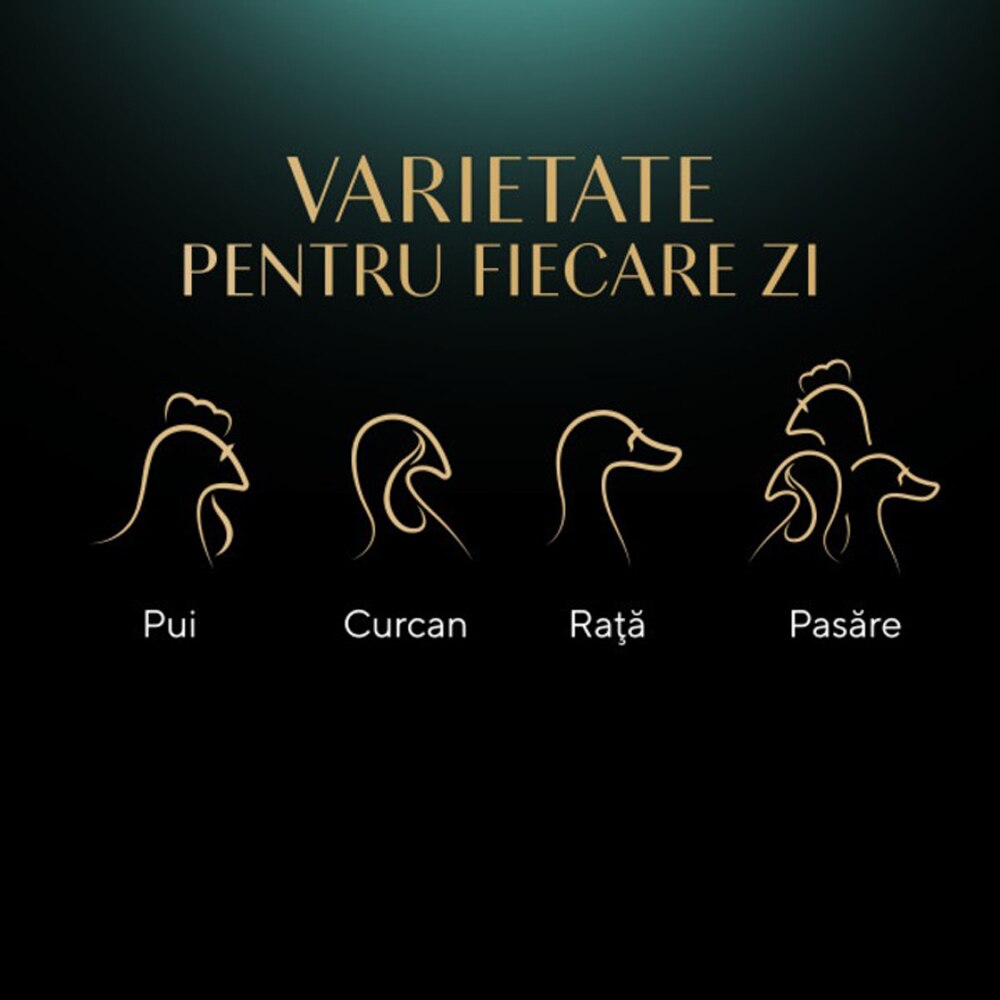 Hrana umeda pentru pisici SHEBA Nature's Collection, Adult, Pasare in aspic, 13 x 4 x 85 g