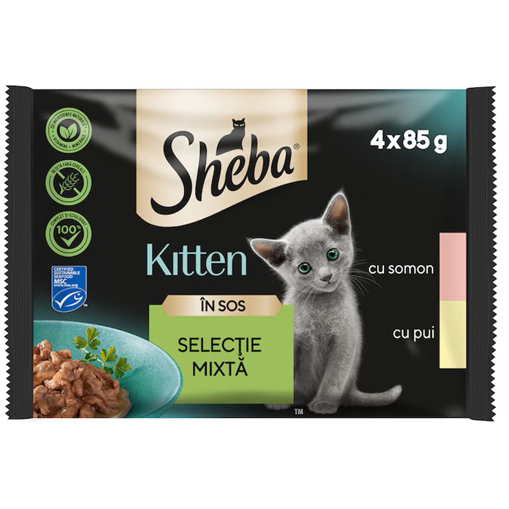 Hrana umeda pentru pisici SHEBA, Junior, Mix in sos, 13 x 4 x 85 g