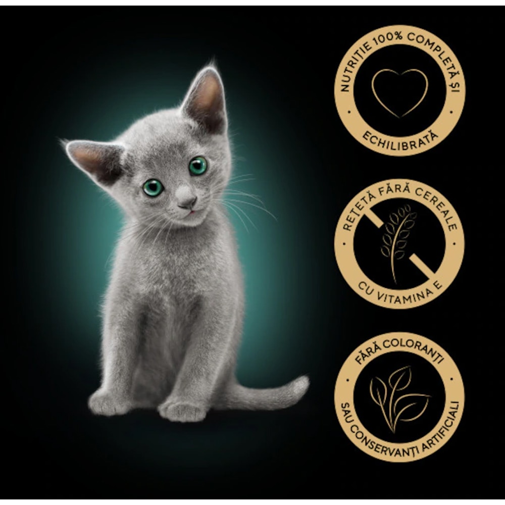 Hrana umeda pentru pisici SHEBA, Junior, Mix in sos, 13 x 4 x 85 g