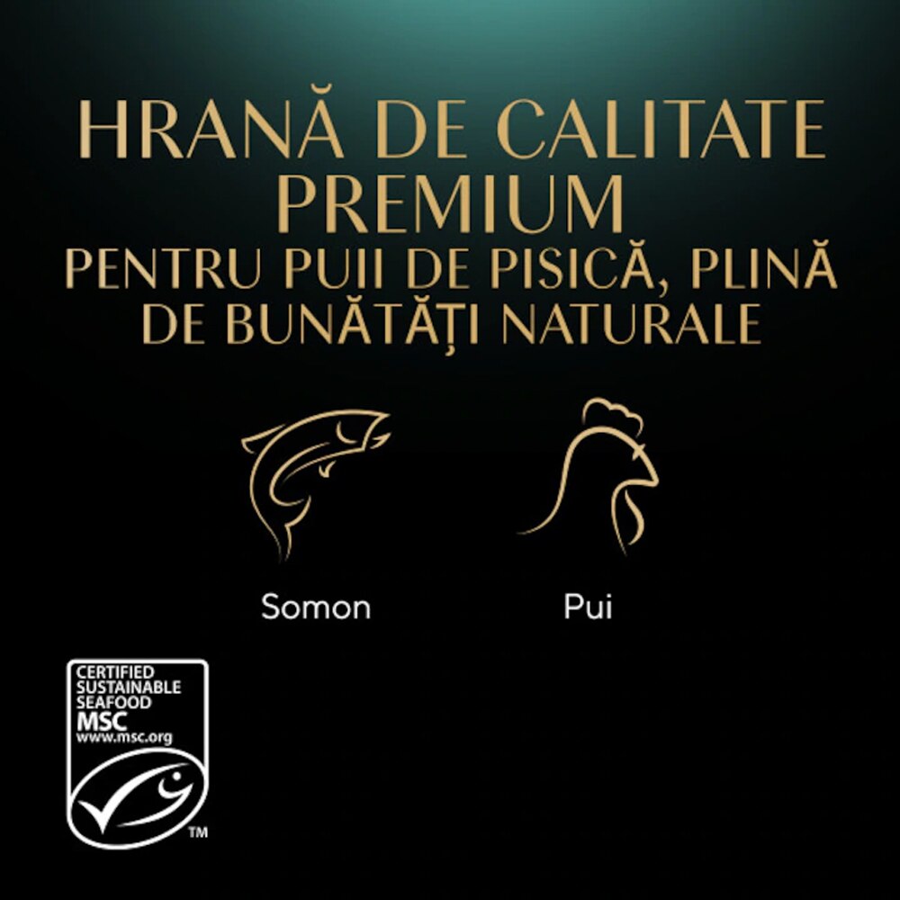 Hrana umeda pentru pisici SHEBA, Junior, Mix in sos, 13 x 4 x 85 g